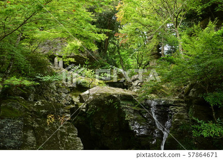 Honrakuji excursion garden Honrakuji excursion garden 57864671