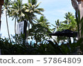 Australian landscape 57864809