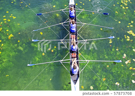 Men's quadruple rowing team on green water Men's quadruple rowing team on green water 57873708