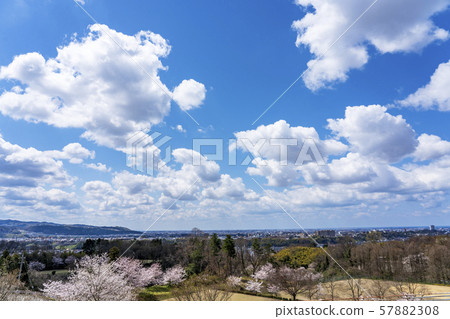 從奧土山賢民公園眺望的金澤市 從奧土山賢民公園眺望的金澤市 57882308