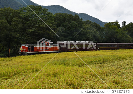 鐵路旅行Watarase Valley高速公路稻田季節 57887175