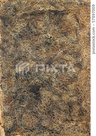 Furniture horse hair 57897009