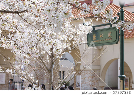 Takarazuka flower road Takarazuka flower road 57897588