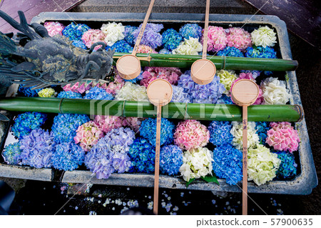 京都長岡京的柳谷ya農農中谷寺初夏區照片 57900635