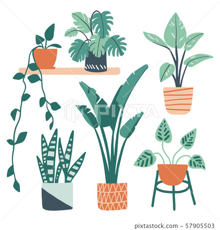 Set of cute colorful hand drawn flower pot 57905503