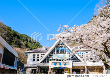 高尾山（春季）：清ot站/山口站 57917656