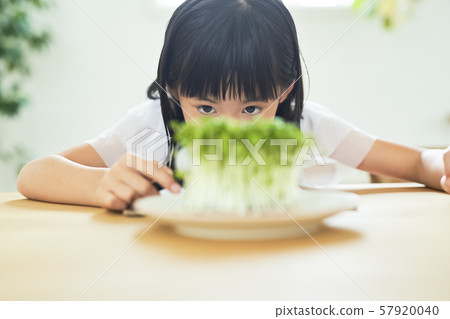 Girl child study 57920040