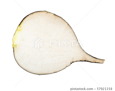 half of ripe black radish taproot isolated half of ripe black radish taproot isolated 57921158