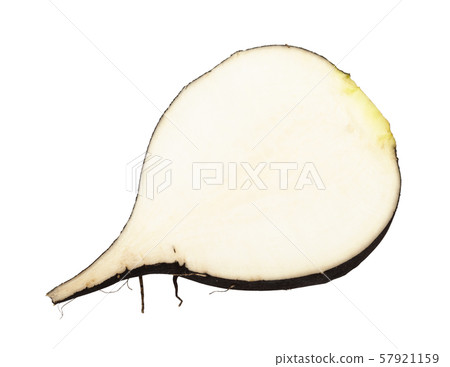 cross section of fresh black radish root isolated cross section of fresh black radish root isolated 57921159