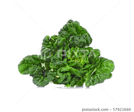 bok, choy, isolated on white background 57921680