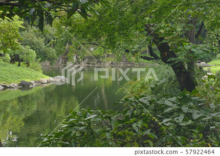 Asakusa Senso-ji Honbo Den Pond Garden Pond Asakusa Senso-ji Honbo Den Pond Garden Pond 57922464