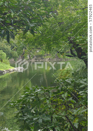 Asakusa Senso-ji Honbo Den Pond Garden Pond Asakusa Senso-ji Honbo Den Pond Garden Pond 57922465