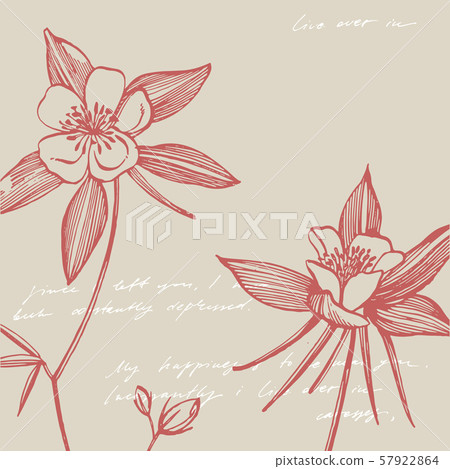 Double Columbine flowers. Collection of hand drawn flowers and plants. Botany. Set. Vintage flowers Double Columbine flowers. Collection of hand drawn flowers and plants. Botany. Set. Vintage flowers 57922864
