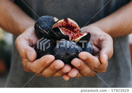 man with some figs in his hands man with some figs in his hands 57923029