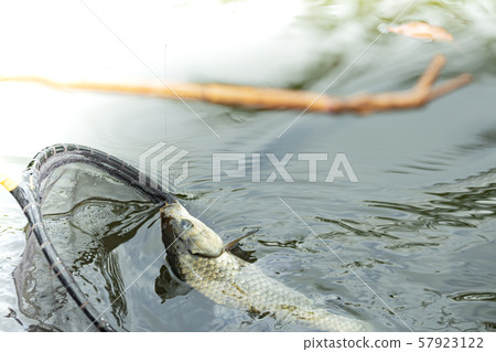 鍋鏟釣魚釣魚副本空間 57923122