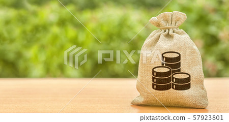 Money bag with money coin symbol. Finance and Banking. Attracting investment to development and modernization. Business, budget, financial transactions. Available loans and deposits. Copy space Money bag with money coin symbol. Finance and Banking. Attracting investment to development and modernization. Business, budget, financial transactions. Available loans and deposits. Copy space 57923801