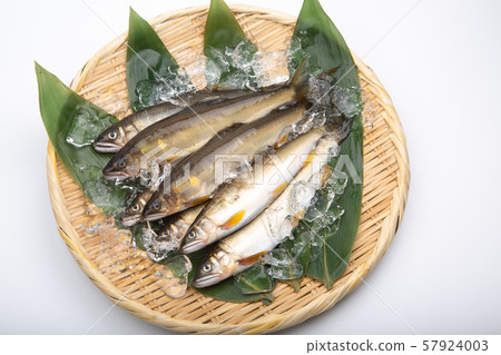 Salmon Ayu Fish 57924003