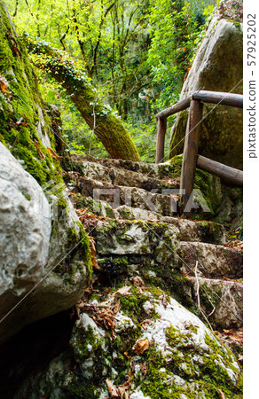 Stone stairs in the natural reserve of Morigerati 57925202