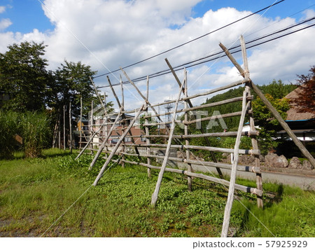 鄉村景觀 57925929