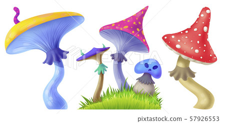 Threat of poisonous mushrooms. Fly agaric. 57926553