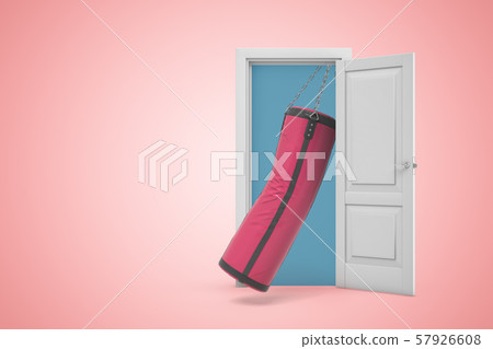 hot pink punching bag