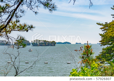 日本的三景松島的春景 57926807