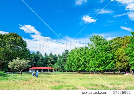 東京Kohgaoka公園的風景 57926902