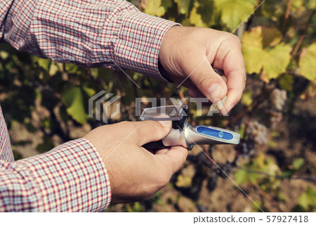 Man's hands measure with refractometer in a vineyard Man's hands measure with refractometer in a vineyard 57927418