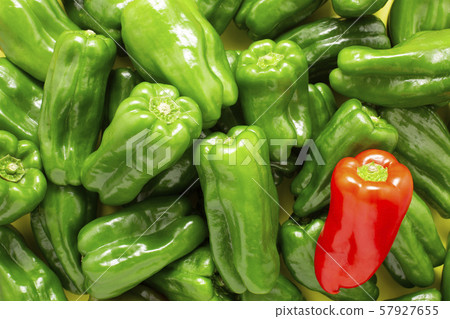 Paprika and green peppers Paprika and green peppers 57927655