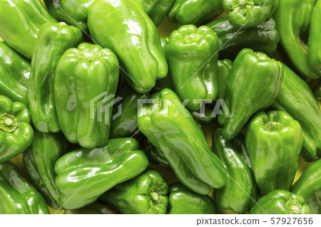 Many green peppers Many green peppers 57927656