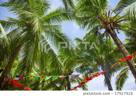 Palm trees with international flags and blue sky Palm trees with international flags and blue sky 57927928