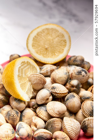view of fresh cockles on a plate view of fresh cockles on a plate 57929694