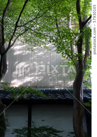 Scenery photo Beautiful Japanese landscape Ease photo 57930105