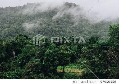 Landscape mountain view,Fog and Clouds are rolling through after the rain in the Mountains National Park,thailand. 57930356