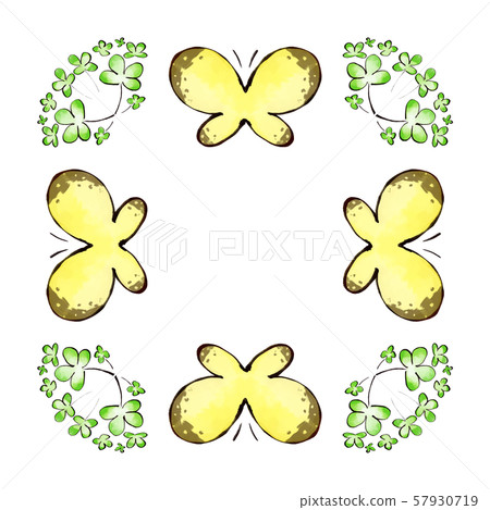 Colias erate / Crest yellow butterfly and four-leaf clover frame 57930719