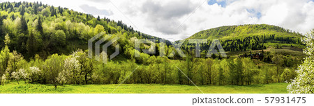 panorama of the Carpathian mountains 57931475