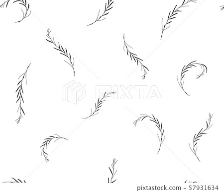 Vector seamless botanical pattern with hand drawn herbs isolated on white background. Endless 57931634