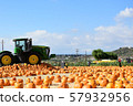 Pumpkin and tractor * 57932956