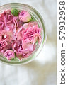 Dusty pink carnation * 57932958