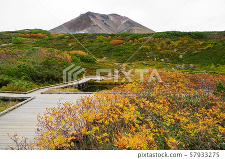 September Higashikawacho 14 Asahidake ropeway figure station / station 57933275