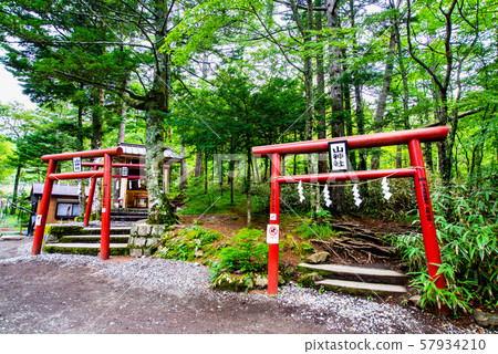 山梨縣富士吉田市新屋山神社大宮 山梨縣富士吉田市新屋山神社大宮 57934210