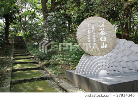 天王寺公園/ haus山 57934346
