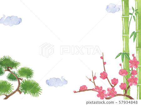 Shochiku plum watercolor illustration background 57934848