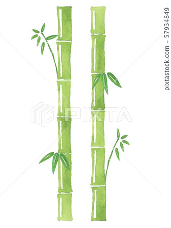 竹水彩插圖 57934849