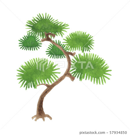 松水彩插圖 57934850