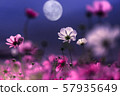 宇宙 57935649