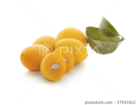 Marian Plum is a bunch on a white background Marian Plum is a bunch on a white background 57935922