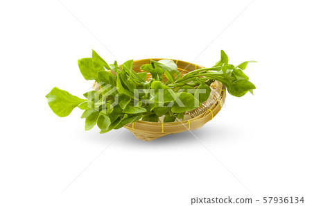 watercress isolated on white background 57936134