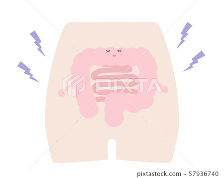 腸道環境不健康 腸道環境不健康 57936740