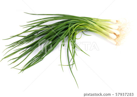 resh spring onions isolated 57937283